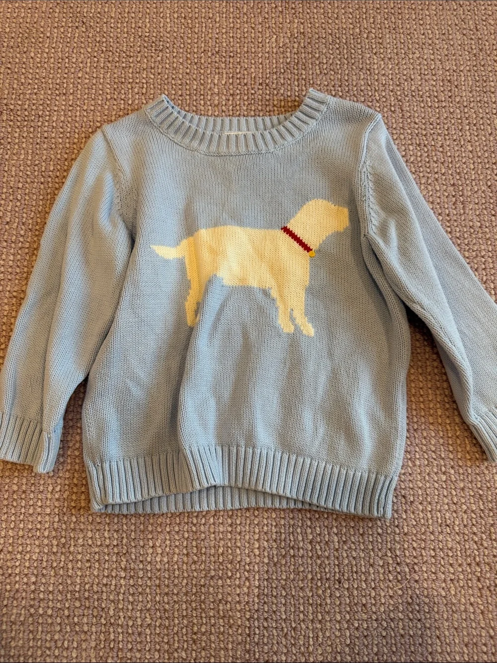 Little English Light Blue Sweater with Cream Dog Motif